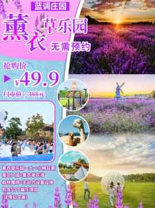 北京薰衣草庄园,北京薰衣草庄园在哪里丰台区 第3张 北京薰衣草庄园,北京薰衣草庄园在哪里丰台区 第3张