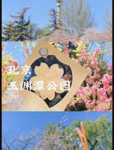 玉渊潭公园门票费用?玉渊潭公园门票费用调整原因? 第3张 玉渊潭公园门票费用?玉渊潭公园门票费用调整原因? 第3张