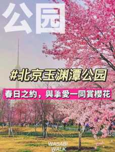 玉渊潭公园门票费用?玉渊潭公园门票费用调整原因? 第4张 玉渊潭公园门票费用?玉渊潭公园门票费用调整原因? 第4张