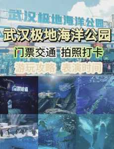 武汉海洋馆一日游攻略?武汉海洋馆门票费用? 第1张 武汉海洋馆一日游攻略?武汉海洋馆门票费用? 第1张