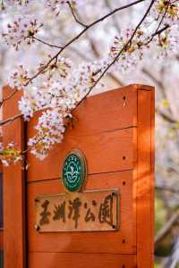 北京玉渊潭公园介绍,北京玉渊潭公园门票费用 第5张 北京玉渊潭公园介绍,北京玉渊潭公园门票费用 第5张