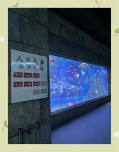 天津海洋馆门票多少钱2021?天津海洋馆门票多少钱2021年? 第5张 天津海洋馆门票多少钱2021?天津海洋馆门票多少钱2021年? 第5张