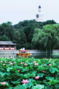 北海公园有哪些景点,北海公园有哪些景点分别在哪里? 第3张 北海公园有哪些景点,北海公园有哪些景点分别在哪里? 第3张