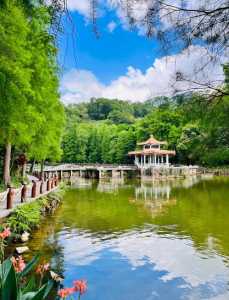 深圳仙湖植物园门票?深圳仙湖植物园门票多少钱?有优惠政策吗?? 第1张 深圳仙湖植物园门票?深圳仙湖植物园门票多少钱?有优惠政策吗?? 第1张