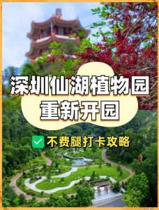 深圳仙湖植物园门票?深圳仙湖植物园门票多少钱?有优惠政策吗?? 第3张 深圳仙湖植物园门票?深圳仙湖植物园门票多少钱?有优惠政策吗?? 第3张
