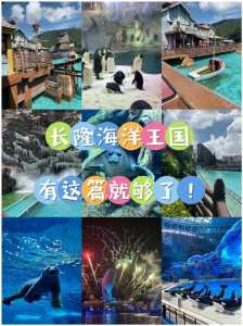 长隆水上乐园攻略2021,长隆水上乐园等你来玩哦 第5张 长隆水上乐园攻略2021,长隆水上乐园等你来玩哦 第5张