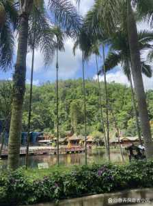 云南西双版纳旅游景点,云南西双版纳旅游景点推荐 第1张 云南西双版纳旅游景点,云南西双版纳旅游景点推荐 第1张