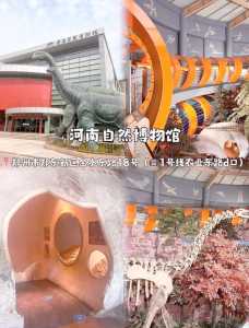 郑州海洋馆图片,郑州海洋馆分布图? 第2张 郑州海洋馆图片,郑州海洋馆分布图? 第2张