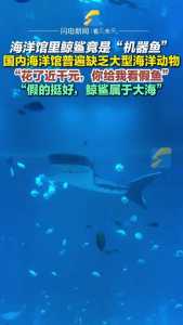 郑州海洋馆图片,郑州海洋馆分布图? 第6张 郑州海洋馆图片,郑州海洋馆分布图? 第6张