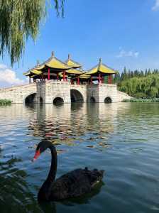 杭州西湖周边景点攻略,杭州西湖周边景点攻略图 第4张 杭州西湖周边景点攻略,杭州西湖周边景点攻略图 第4张