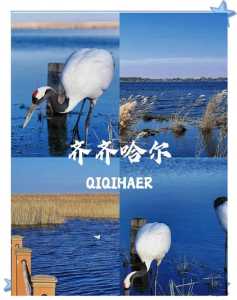 齐齐哈尔旅游攻略必去景点,齐齐哈尔旅游攻略必去景点免费 第3张 齐齐哈尔旅游攻略必去景点,齐齐哈尔旅游攻略必去景点免费 第3张