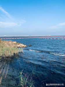 上海海滩景点大全?上海海滩景点大全排名? 第2张 上海海滩景点大全?上海海滩景点大全排名? 第2张