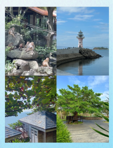 马尔代夫和三亚哪个好玩,马尔代夫跟三亚哪里好玩? 第4张 马尔代夫和三亚哪个好玩,马尔代夫跟三亚哪里好玩? 第4张