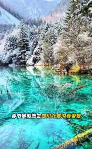 过年去什么地方旅游比较好,过年的时候去哪里旅游比较好又便宜 第1张 过年去什么地方旅游比较好,过年的时候去哪里旅游比较好又便宜 第1张