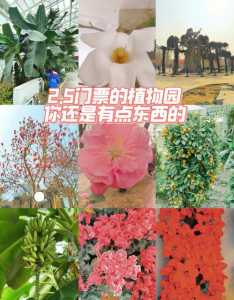 石家庄植物园现在门票多少钱,石家庄最佳一日游? 第1张 石家庄植物园现在门票多少钱,石家庄最佳一日游? 第1张
