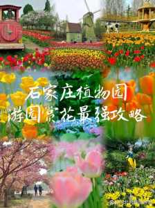 石家庄植物园现在门票多少钱,石家庄最佳一日游? 第5张 石家庄植物园现在门票多少钱,石家庄最佳一日游? 第5张