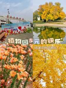 石家庄植物园现在门票多少钱,石家庄最佳一日游? 第6张 石家庄植物园现在门票多少钱,石家庄最佳一日游? 第6张