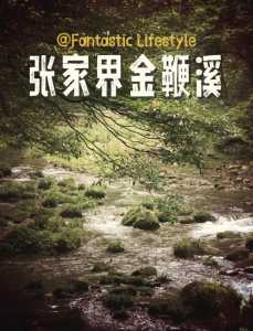 张家界金鞭溪景点介绍，张家界金鞭溪导游景点讲解  第5张