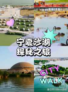 宁夏沙湖一日游?宁夏沙湖一日游门票多少钱? 第2张 宁夏沙湖一日游?宁夏沙湖一日游门票多少钱? 第2张