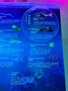 珠海海洋公园门票费用?珠海海洋公园门票费用海洋公园费用多少? 第2张 珠海海洋公园门票费用?珠海海洋公园门票费用海洋公园费用多少? 第2张