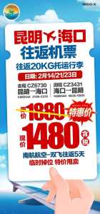 飞机票查询打折机票,飞机票查询打折机票携程网? 第3张 飞机票查询打折机票,飞机票查询打折机票携程网? 第3张