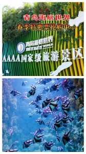 海底世界门票怎么买便宜？海底世界怎么购票？  第1张