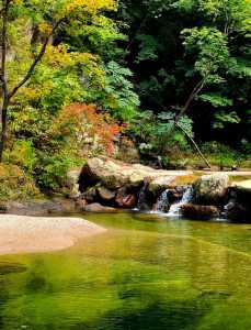 沈阳周边旅游景点大全?沈阳市旅游必去景点? 第5张 沈阳周边旅游景点大全?沈阳市旅游必去景点? 第5张