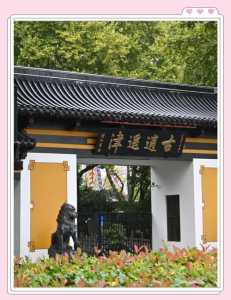 合肥景点排名榜一日游?合肥必去景点一日游? 第3张 合肥景点排名榜一日游?合肥必去景点一日游? 第3张