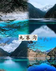 四川九寨沟开放了吗,四川九寨沟开放了吗现在 第3张 四川九寨沟开放了吗,四川九寨沟开放了吗现在 第3张