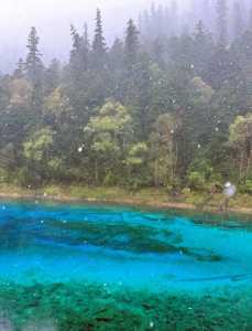 九寨沟风景区天气,九寨沟今天的天气预报? 第6张 九寨沟风景区天气,九寨沟今天的天气预报? 第6张