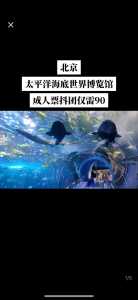 太平洋海底世界博览馆门票,太平洋海底世界博览馆门票老人免费吗 第2张 太平洋海底世界博览馆门票,太平洋海底世界博览馆门票老人免费吗 第2张