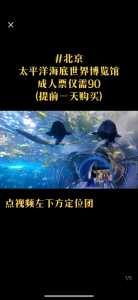 太平洋海底世界博览馆门票,太平洋海底世界博览馆门票老人免费吗 第3张 太平洋海底世界博览馆门票,太平洋海底世界博览馆门票老人免费吗 第3张