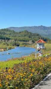 黑龙江伊春旅游攻略景点必去,黑龙江伊春旅游攻略景点必去五大连池 第3张 黑龙江伊春旅游攻略景点必去,黑龙江伊春旅游攻略景点必去五大连池 第3张