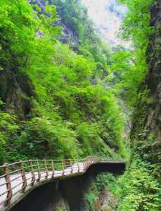 金丝峡大峡谷门票费用?一般账户能开保函吗? 第3张 金丝峡大峡谷门票费用?一般账户能开保函吗? 第3张