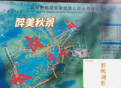 野鸭湖湿地公园攻略?野鸭湖湿地公园营业时间? 第1张 野鸭湖湿地公园攻略?野鸭湖湿地公园营业时间? 第1张