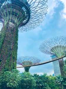 新加坡著名景点,新加坡景点图片大全 实拍 第5张 新加坡著名景点,新加坡景点图片大全 实拍 第5张