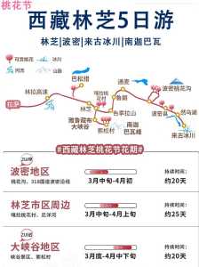 林芝自由行旅游攻略,林芝自由行游记? 第1张 林芝自由行旅游攻略,林芝自由行游记? 第1张