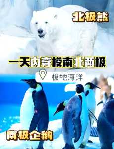 青岛海昌极地海洋公园攻略,青岛海昌极地海洋公园游记? 第1张 青岛海昌极地海洋公园攻略,青岛海昌极地海洋公园游记? 第1张