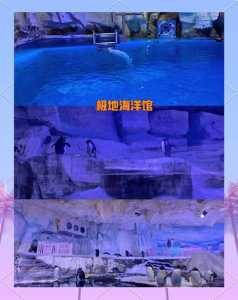 青岛海昌极地海洋公园攻略,青岛海昌极地海洋公园游记? 第5张 青岛海昌极地海洋公园攻略,青岛海昌极地海洋公园游记? 第5张