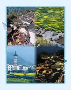 深圳杨梅坑有什么好玩,2020深圳杨梅坑一日游攻略 第3张 深圳杨梅坑有什么好玩,2020深圳杨梅坑一日游攻略 第3张