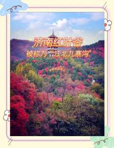 红叶谷门票是多少？红叶谷门票费用？  第4张