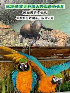 神雕山野生动物园门票?神雕山野生动物园门票599? 第1张 神雕山野生动物园门票?神雕山野生动物园门票599? 第1张