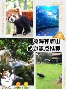 神雕山野生动物园门票?神雕山野生动物园门票599? 第3张 神雕山野生动物园门票?神雕山野生动物园门票599? 第3张