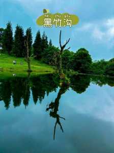 乐山黑竹沟旅游攻略,乐山黑竹沟景区 第1张 乐山黑竹沟旅游攻略,乐山黑竹沟景区 第1张
