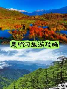 乐山黑竹沟旅游攻略,乐山黑竹沟景区 第4张 乐山黑竹沟旅游攻略,乐山黑竹沟景区 第4张