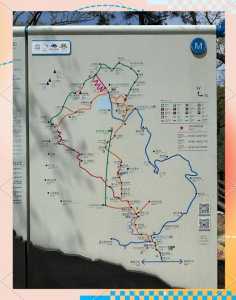 临沂旅游景点哪里好玩自驾?临沂旅游景点自驾游? 第3张 临沂旅游景点哪里好玩自驾?临沂旅游景点自驾游? 第3张