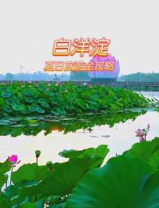 白洋淀农家院多少钱一天,白洋淀农家院住宿一天大概多少钱? 第1张 白洋淀农家院多少钱一天,白洋淀农家院住宿一天大概多少钱? 第1张