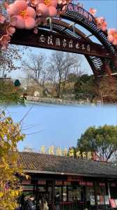 杭州西溪湿地公园图片,杭州西溪湿地公园门票费用多少 第3张 杭州西溪湿地公园图片,杭州西溪湿地公园门票费用多少 第3张