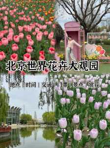 世界花卉大观园门票多少钱，丰台世界花卉大观园门票多少钱  第4张