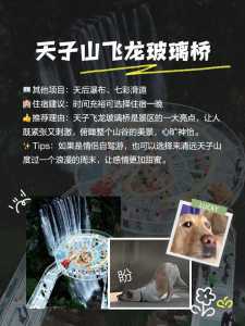 清远玻璃桥在哪里?清远玻璃桥门票多少钱? 第1张 清远玻璃桥在哪里?清远玻璃桥门票多少钱? 第1张